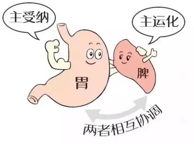 02肝脾肾亏虚导致气血不足