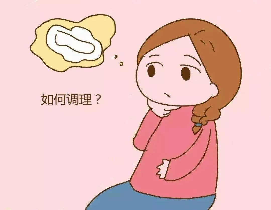 04养卵巢、补气血 