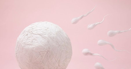 7、免疫性不育