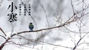 为什么小寒适合温补阳气 
