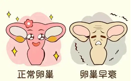 盛百颜教你两个方法判断卵巢健康状态！