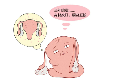 衰老加速的始作怂恿者，那就是——早衰的卵巢