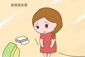 泌尿系统